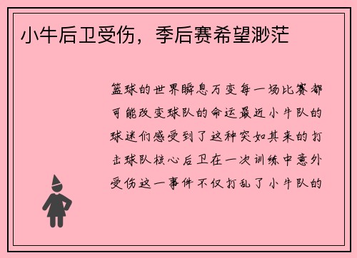 小牛后卫受伤，季后赛希望渺茫